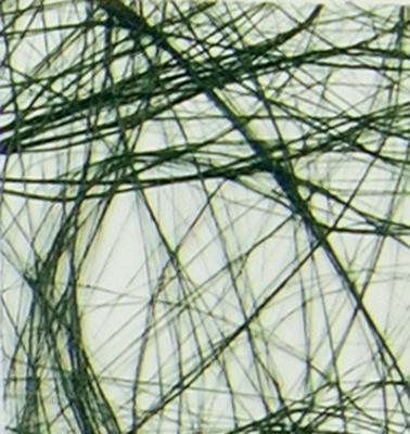 Vaessen Creative • sizoweb 5mx30cm in koker donkergroen