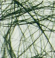 Vaessen Creative • sizoweb 5mx30cm in koker donkergroen - thumbnail