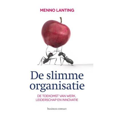 De slimme organisatie - Menno Lanting - Paperback (9789047005278) De slimme organisatie - Menno Lanting - Paperback (9789047005278)