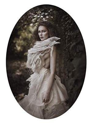 Ilford GALERIE Prestige Mono Silk Warmtone A4 25 Blatt