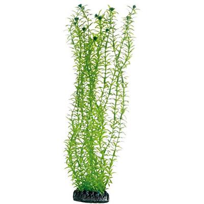 Plantasy set 5 decoratie planten Hobby Smulders - Smulders Plantasy set 5 decoratie planten Hobby Smulders - Smulders