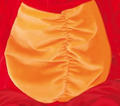 Kreeft Kostuum Dreumes