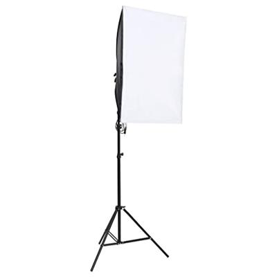 VidaXL Studiolampen 2 st professioneel 40x60 cm