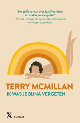 Ik was je bijna vergeten - Terry McMillan - eBook (9789401605762)