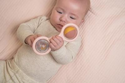 Little Dutch bal rammelaar roze