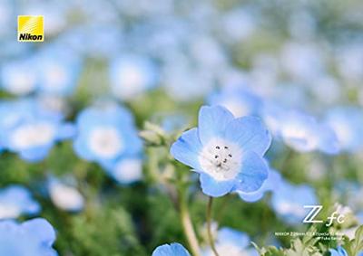 Nikon Z 28mm f/2.8 SE