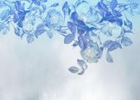 Noordwand Komar Colours Fotobehang Blue Aura - X7-1094 - thumbnail