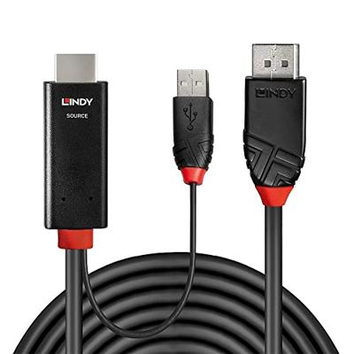 Lindy 41498 video kabel adapter 1 m HDMI + USB Type-A DisplayPort Zwart