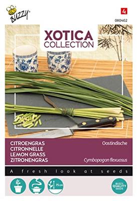 Xotica Citroengras zaden Buzzy - Buzzy Xotica Citroengras zaden Buzzy - Buzzy