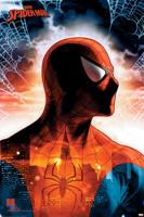 Poster Spider-Man - Protector of the City 61x91,5cm - thumbnail