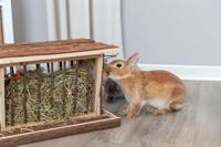 TRIXIE HOOIRUIF MET BODEM EN DEKSEL SCHORSHOUT 40X30X22 CM - thumbnail