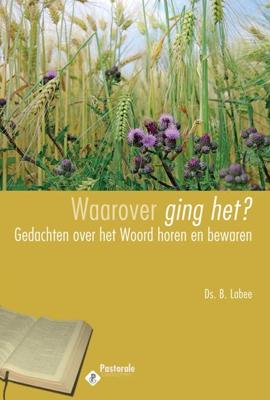 Waarover ging het? - B. Labee, J. Kranendonk-Gijssen - ebook