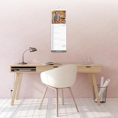 Cats Slim Calendar 2026 Cute Slimline Calendar - 12 Month