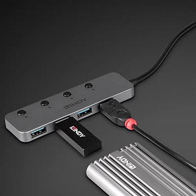 LINDY 43383 USB-C (USB 3.2 Gen 2) multiport hub 4 poorten Grijs