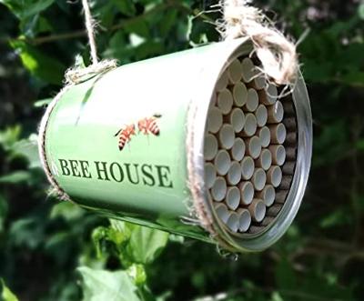 Bijenhuis