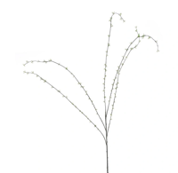 Spring seeded spray green 170 cm kunstbloem Erutan Avon - Erutan avon - thumbnail