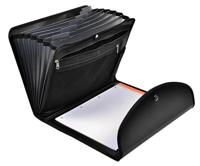 Sorteermap exacompta exactive exacfolio a4 6 vak | 5 stuks - thumbnail