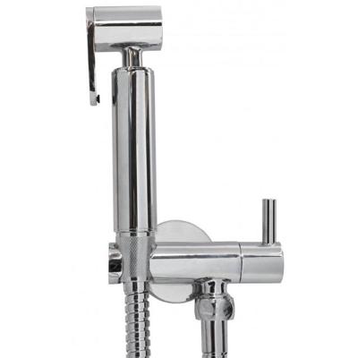 Bidet handdoucheset chroom Bidet handdoucheset chroom