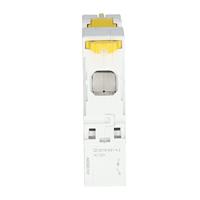 Schneider Electric A9S65191 100 A 240 V - thumbnail