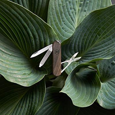 Victorinox Classic Sd Zakmes Wood