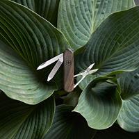 Victorinox Classic Sd Zakmes Wood - thumbnail