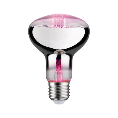 Paulmann LED-plantenlamp groei 230 V E27 6.5 W Barnsteen 1 stuk(s)