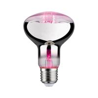 Paulmann LED-plantenlamp groei 230 V E27 6.5 W Barnsteen 1 stuk(s) - thumbnail