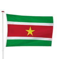 Surinaamse Vlag - thumbnail