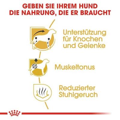 Royal Canin canin chihuahua - thumbnail