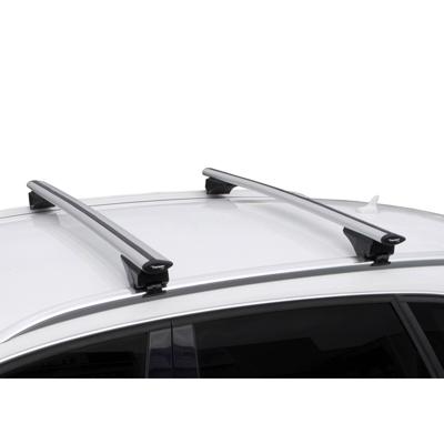Twinny Load Dakdragerset fly bar 100 kg 124 cm aluminium zilver