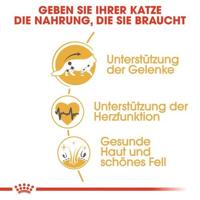 Royal Canin - Royal Canin Light Weight Care - 400 g - thumbnail