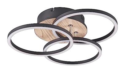 Trio PlafondlampCircle Ø 43,5cm - R62823135