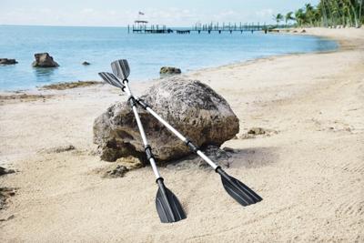 Roeispanen Bestway Hydro-Force Zilverkleurig 145 cm