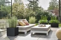 Elho Vivo Next vierkant plantenbak met wielen 40 cm living black - thumbnail