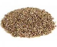 EVZ Enkelvoudige Voeders Hennep zaad 1kg - thumbnail