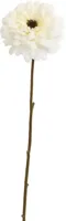 Pure Royal kunsttak zinnia 70cm crème - thumbnail