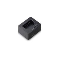 Panasonic BLK22 USB-C Charger - thumbnail