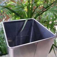 Zack Angolo Paraplubak - thumbnail