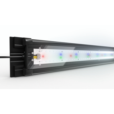 Juwel Helia-Lux spectrum LED 800 Juwel Gebr. de Boon - Gebr de boon Juwel Helia-Lux spectrum LED 800 Juwel Gebr. de Boon - Gebr de boon