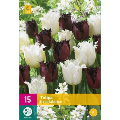 Tulpen breakdance mix 15 bollen