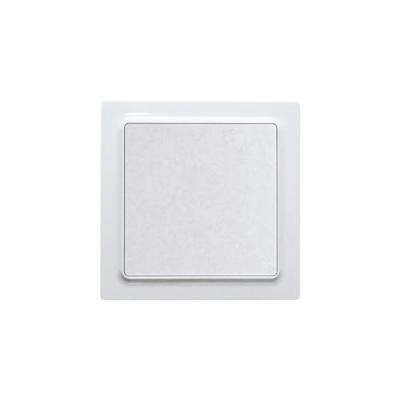 Eltako WT55E-wg Toets Inbouw (in muur)