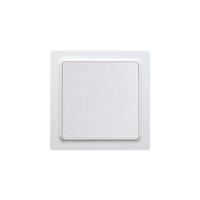 Eltako WT55E-wg Toets Inbouw (in muur) - thumbnail