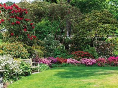 Bloementuin 70x50cm Tuinschilderij Customize-it - Customize it