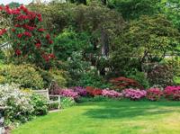 Bloementuin 70x50cm Tuinschilderij Customize-it - Customize it - thumbnail