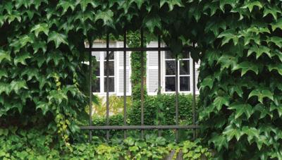 Hedera 130x70cm Tuinschilderij Customize-it - Customize it