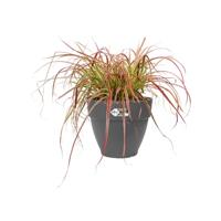 Elho Vibia Campana bloempot rond 47 cm antraciet - thumbnail