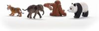 Schleich wild life azië starterset - thumbnail