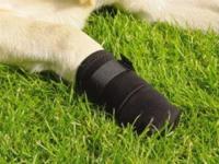 Beeztees 795931 pootbescherming, set van 2, M, zwart - thumbnail