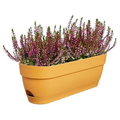 Elho Vibia Campana balkonbak 50 cm honing geel