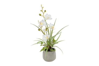 Decostar Countryfield Kunstplant Phalenopsis mini w/pot arrangement